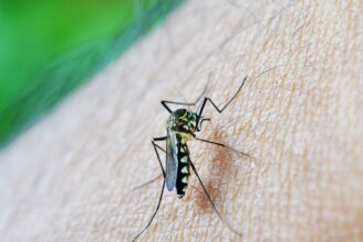 estudo-alerta-para-relacao-da-dengue-com-a-sindrome-de-guillain-barre