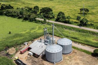 com-producao-sustentavel-integrada,-acre-expande-area-plantada-em-5,6%-enquanto-reduz-o-desmatamento