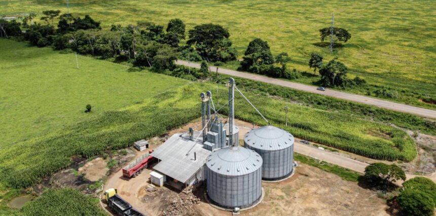 com-producao-sustentavel-integrada,-acre-expande-area-plantada-em-5,6%-enquanto-reduz-o-desmatamento
