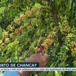 videos:-jornal-do-acre-2a-edicao-desta-quinta-feira,-16-de-abril-de-2026