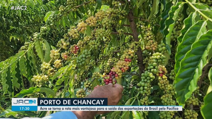 videos:-jornal-do-acre-2a-edicao-desta-quinta-feira,-16-de-abril-de-2026