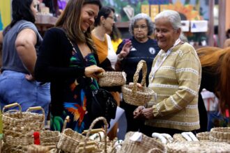 brasil-ja-tem-4,5-milhoes-de-empreendedores-da-economia-prateada