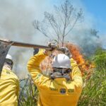 governo-do-acre-divulga-resultado-da-homologacao-das-inscricoes-do-processo-seletivo-para-brigadistas-comunitarios