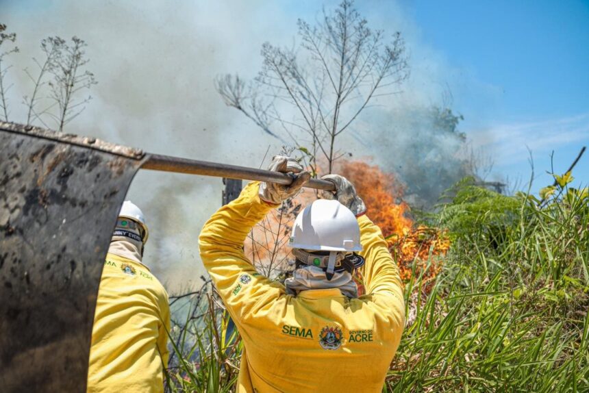 governo-do-acre-divulga-resultado-da-homologacao-das-inscricoes-do-processo-seletivo-para-brigadistas-comunitarios