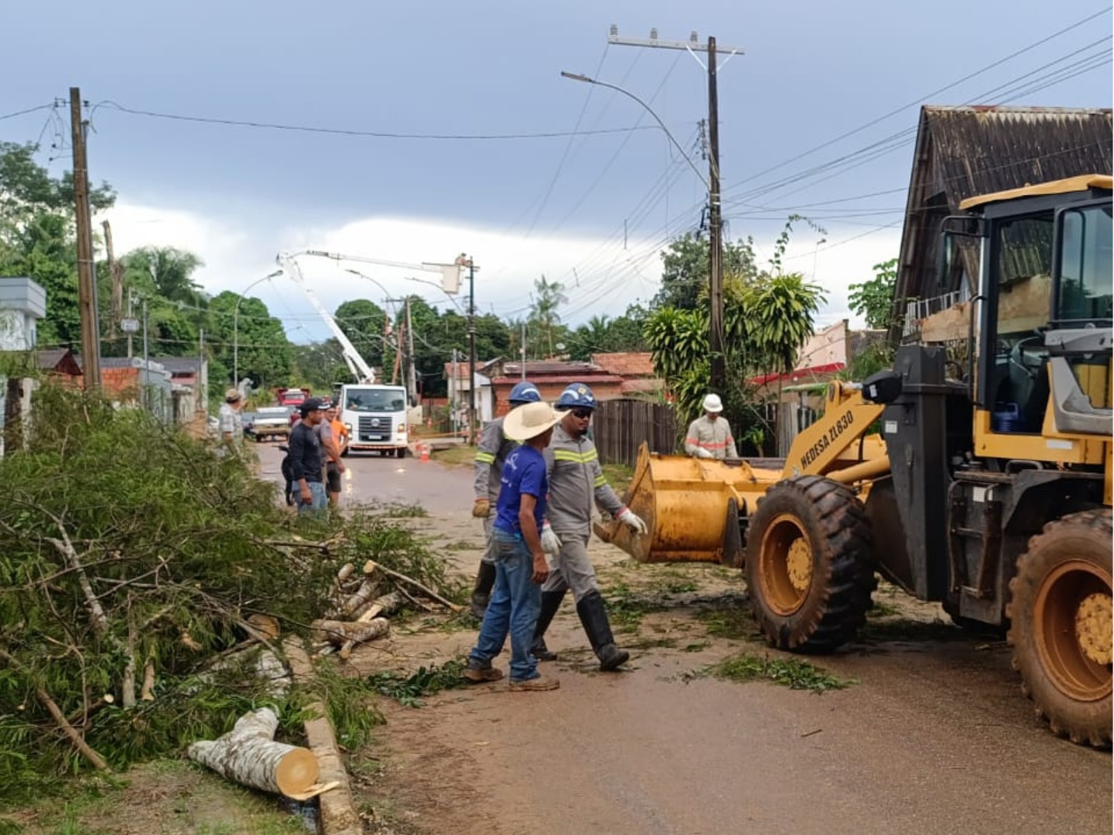 chuvas-e-ventos-causam-queda-de-arvores-em-cidades-do-acre;-video