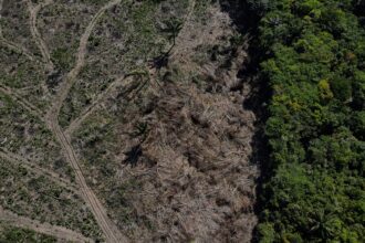 desmatamento-na-amazonia-cai-17%-no-1o-trimestre,-mas-volta-a-subir-em-marco