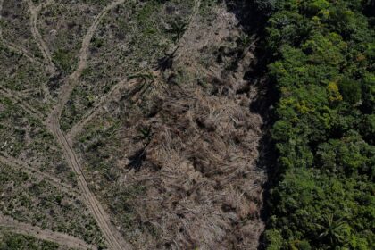 desmatamento-na-amazonia-cai-17%-no-1o-trimestre,-mas-volta-a-subir-em-marco