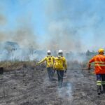 governo-divulga-resultado-final-da-avaliacao-curricular-e-convocacao-para-testes-do-processo-seletivo-de-brigadistas-comunitarios