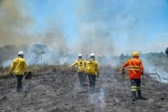 governo-divulga-resultado-final-da-avaliacao-curricular-e-convocacao-para-testes-do-processo-seletivo-de-brigadistas-comunitarios