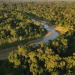 estado-desenvolve-plano-de-transicao-energetica-com-foco-em-sustentabilidade,-eficiencia-e-reducao-de-custos