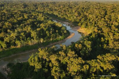 estado-desenvolve-plano-de-transicao-energetica-com-foco-em-sustentabilidade,-eficiencia-e-reducao-de-custos