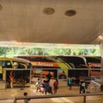 ageac-avanca-em-medidas-para-fortalecer-transporte-intermunicipal