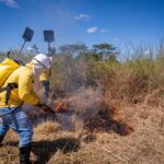 processo-seletivo-para-brigadistas-comunitarios-entra-na-fase-final-com-curso-de-formacao-e-simulacao-de-combate-a-incendio