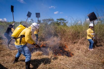 processo-seletivo-para-brigadistas-comunitarios-entra-na-fase-final-com-curso-de-formacao-e-simulacao-de-combate-a-incendio