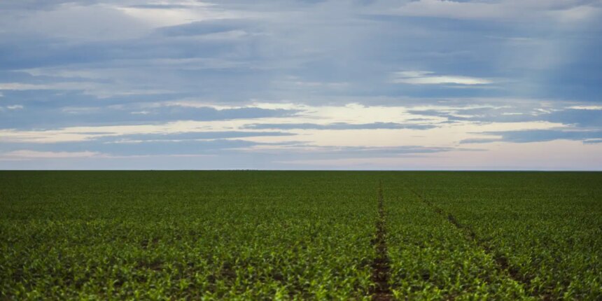 fazenda-estuda-fundo-garantidor-para-dividas-rurais