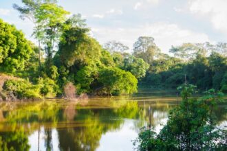 programa-de-resiliencia-socioambiental-integra-conservacao,-seguranca-hidrica-e-desenvolvimento-sustentavel-em-rio-branco
