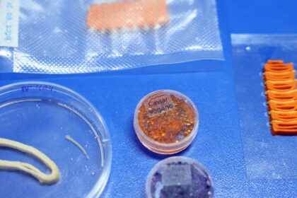 embrapa-produz-em-laboratorio-salmao,-caviar-e-aneis-de-lula-veganos