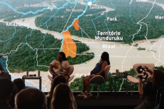 contaminacao-por-mercurio-coloca-gestantes-e-bebes-munduruku-em-risco