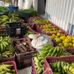 programa-de-aquisicao-de-alimentos-beneficia-agricultores-familiares-e-fortalece-seguranca-alimentar-em-municipios-acreanos