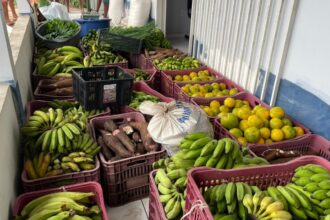 programa-de-aquisicao-de-alimentos-beneficia-agricultores-familiares-e-fortalece-seguranca-alimentar-em-municipios-acreanos