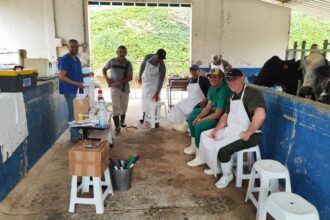 secretaria-de-agricultura-participa-de-capacitacao-em-reproducao-bovina-promovida-pela-embrapa