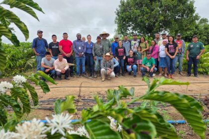 governo-do-acre-promove-treinamento-em-colheita-e-pos-colheita-do-cafe-robusta-amazonico
