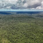 adversaria-em-campo,-noruega-e-parceira-de-acoes-ambientais-do-brasil