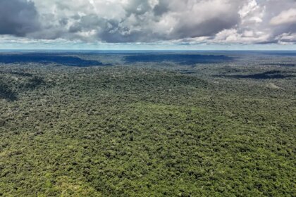 adversaria-em-campo,-noruega-e-parceira-de-acoes-ambientais-do-brasil
