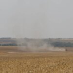 estudo-propoe-avancos-na-rastreabilidade-ambiental-da-soja-e-da-carne