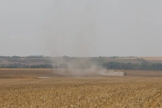estudo-propoe-avancos-na-rastreabilidade-ambiental-da-soja-e-da-carne