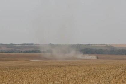 estudo-propoe-avancos-na-rastreabilidade-ambiental-da-soja-e-da-carne