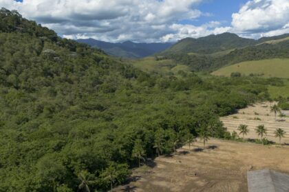 agricultura-ganha-11-milhoes-de-hectares-em-41-anos-na-mata-atlantica