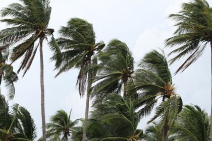 defesa-civil-do-rio-emite-novo-alerta-para-chuvas-e-ventanias