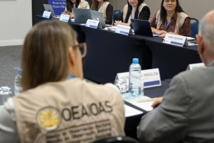 observadores-internacionais-chegam-ao-brasil-para-monitorar-eleicoes