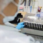 malaria:-anvisa-autoriza-teste-em-humanos-de-vacina-100%-brasileira