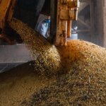 producao-brasileira-de-graos-deve-aumentar-apesar-do-el-nino
