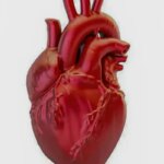 a-cada-72-segundos,-uma-pessoa-morre-por-doenca-cardiovascular-no-pais