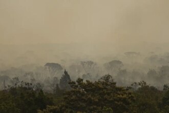 forca-nacional-do-sus-apoia-atendimentos-no-amazonas-apos-incendios