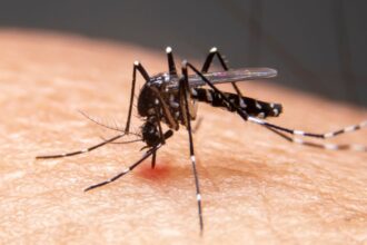 mudancas-climaticas-ja-causam-aumento-de-doencas-infecciosas-no-pais