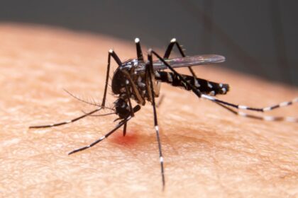 mudancas-climaticas-ja-causam-aumento-de-doencas-infecciosas-no-pais