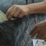 pf-registra-86-casos-suspeitos-de-crime-eleitoral-no-segundo-turno