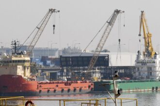 brasil-abre-mercado-em-bangladesh-e-colombia-para-pecuaria